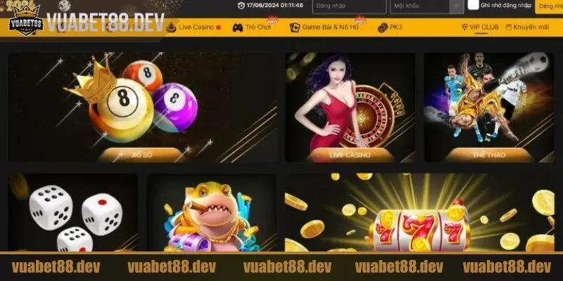 Newbie cần để ý khi tham gia Casino online Vuabet88